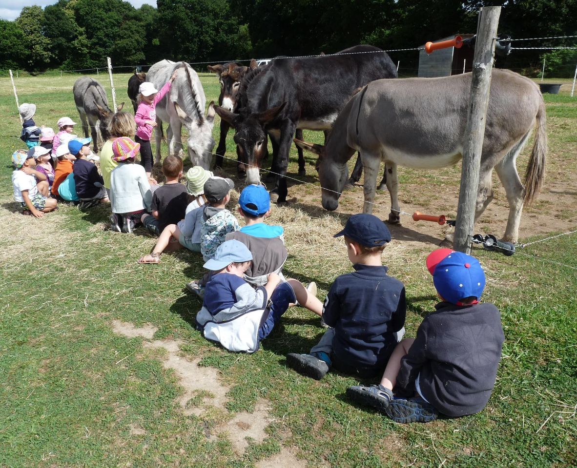 Une ferme pédagogique au Fresnoy Roubaix Web